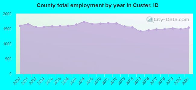 County total employment by year in Custer, ID