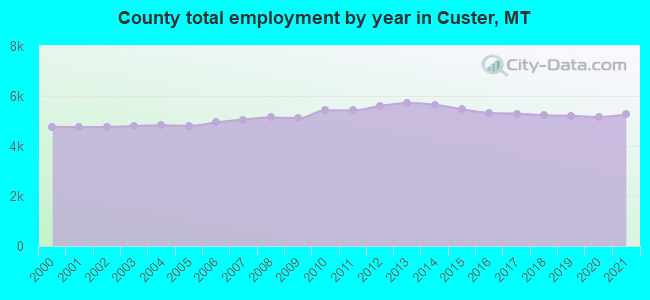 County total employment by year in Custer, MT
