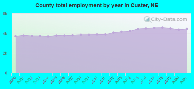 County total employment by year in Custer, NE
