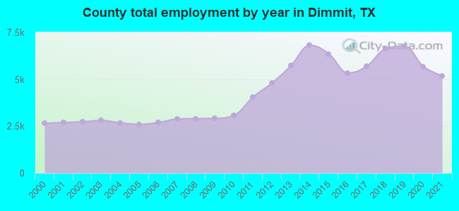 County total employment by year in Dimmit, TX