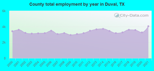 County total employment by year in Duval, TX