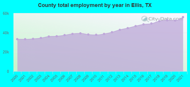 County total employment by year in Ellis, TX