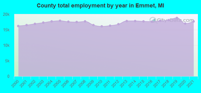 County total employment by year in Emmet, MI