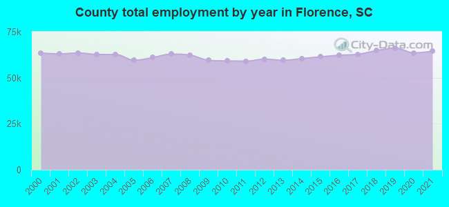 County total employment by year in Florence, SC
