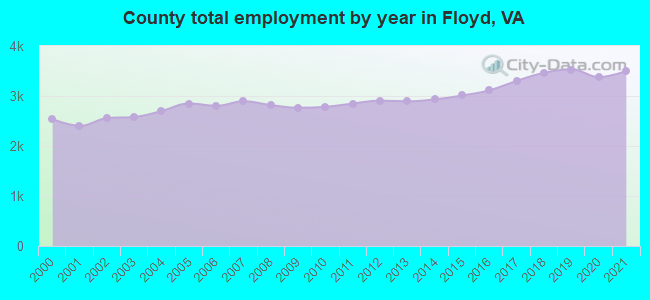 County total employment by year in Floyd, VA