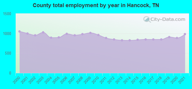 County total employment by year in Hancock, TN