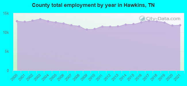 County total employment by year in Hawkins, TN
