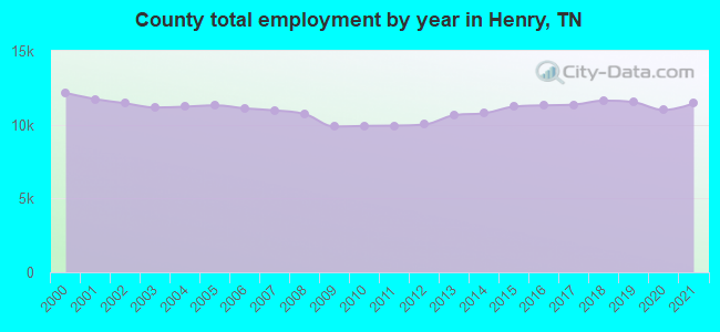 County total employment by year in Henry, TN