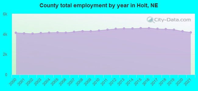 County total employment by year in Holt, NE