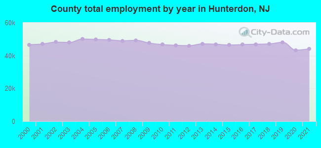 County total employment by year in Hunterdon, NJ