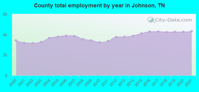 County total employment by year in Johnson, TN