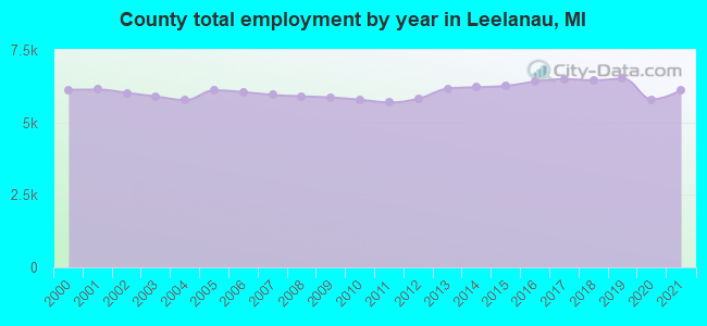County total employment by year in Leelanau, MI