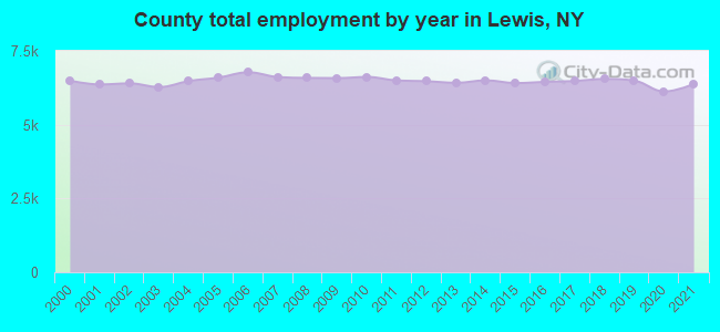 County total employment by year in Lewis, NY