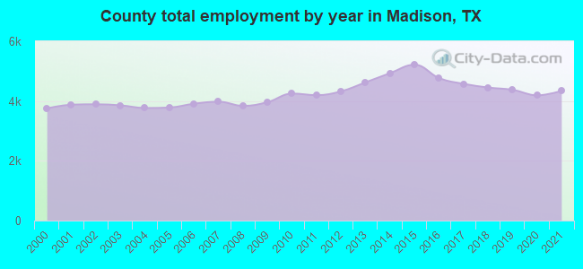 County total employment by year in Madison, TX