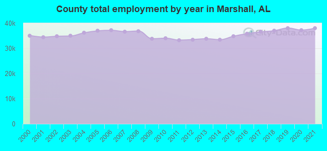 County total employment by year in Marshall, AL
