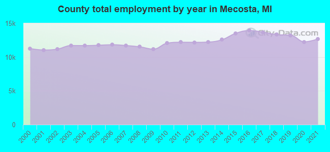County total employment by year in Mecosta, MI