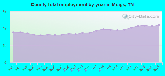 County total employment by year in Meigs, TN