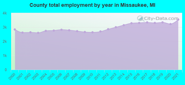 County total employment by year in Missaukee, MI