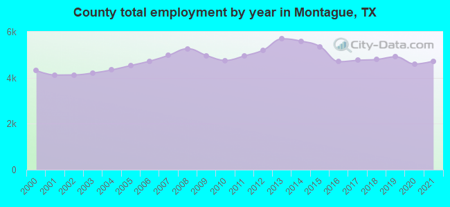 County total employment by year in Montague, TX