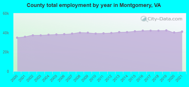 County total employment by year in Montgomery, VA