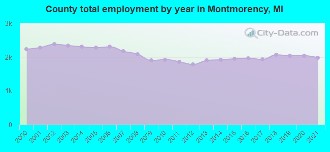 County total employment by year in Montmorency, MI