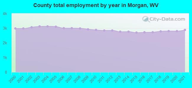 County total employment by year in Morgan, WV