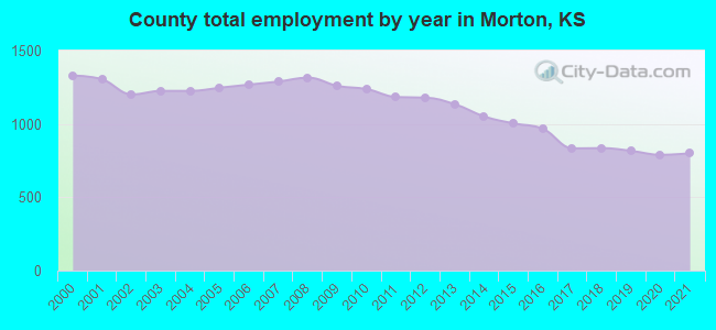 County total employment by year in Morton, KS