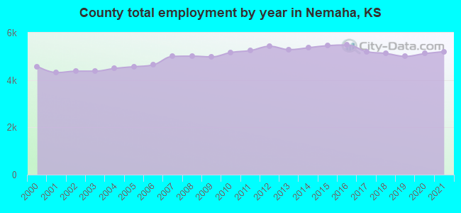 County total employment by year in Nemaha, KS