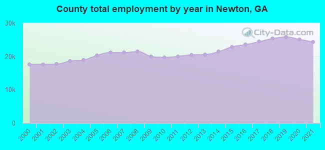 County total employment by year in Newton, GA