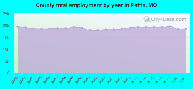 County total employment by year in Pettis, MO