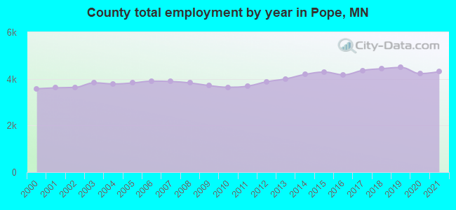 County total employment by year in Pope, MN