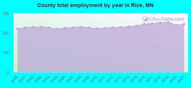 County total employment by year in Rice, MN