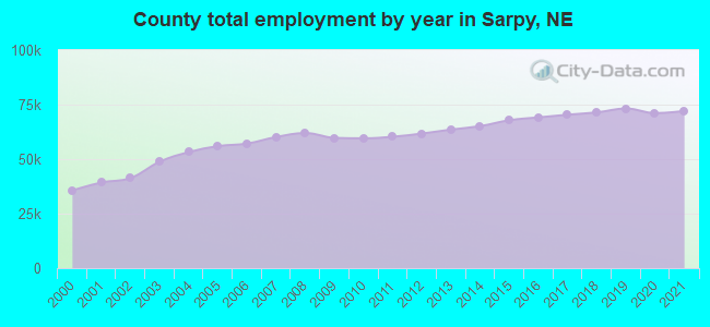County total employment by year in Sarpy, NE