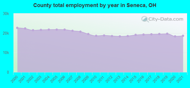 County total employment by year in Seneca, OH