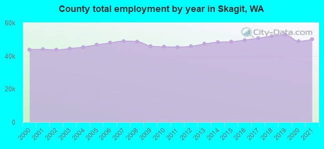 County total employment by year in Skagit, WA
