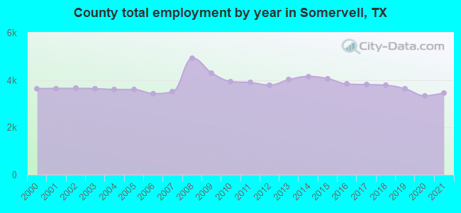 County total employment by year in Somervell, TX