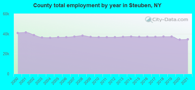 County total employment by year in Steuben, NY