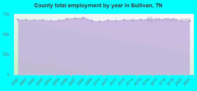 County total employment by year in Sullivan, TN