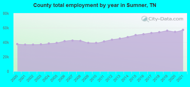 County total employment by year in Sumner, TN