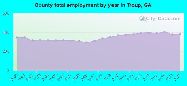 County total employment by year in Troup, GA