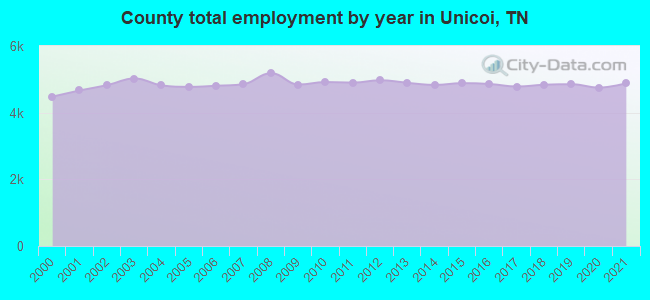County total employment by year in Unicoi, TN