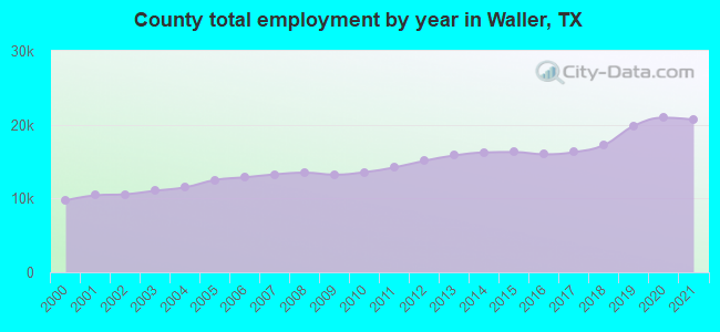 County total employment by year in Waller, TX