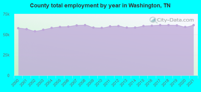 County total employment by year in Washington, TN