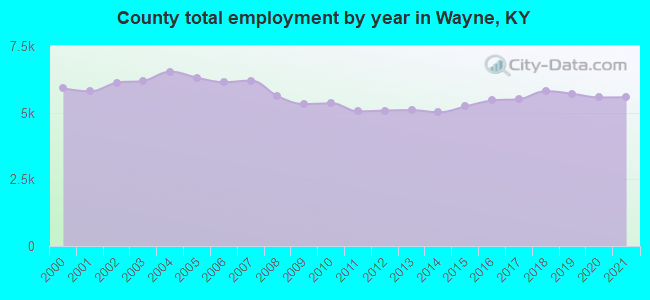 County total employment by year in Wayne, KY