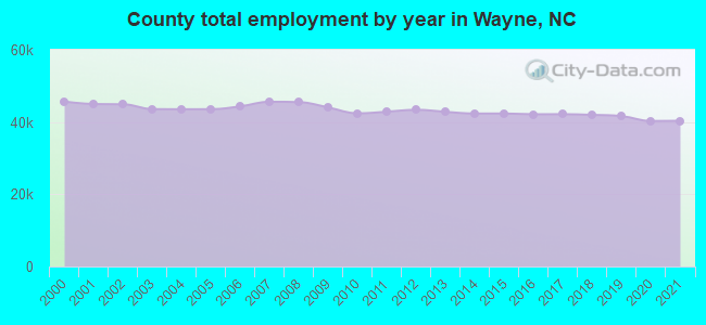 County total employment by year in Wayne, NC
