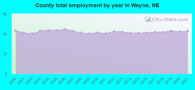 County total employment by year in Wayne, NE