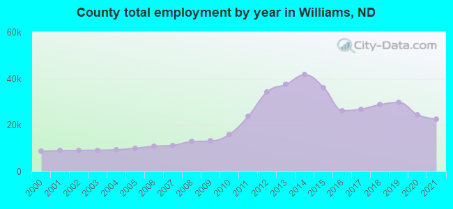 County total employment by year in Williams, ND