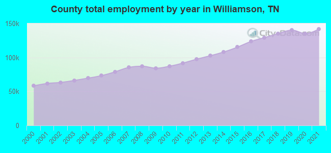 County total employment by year in Williamson, TN