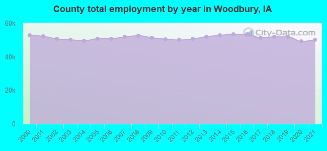 County total employment by year in Woodbury, IA