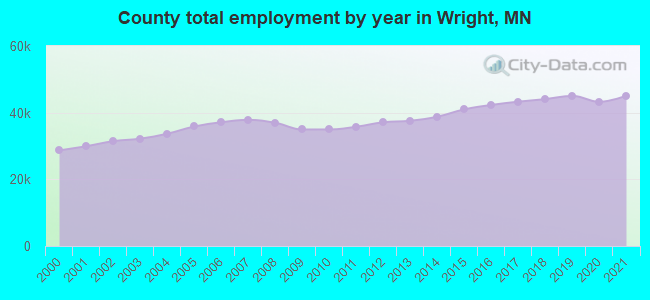 County total employment by year in Wright, MN